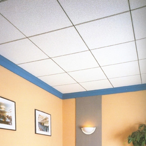 Ceiling Tiles Waiting Room